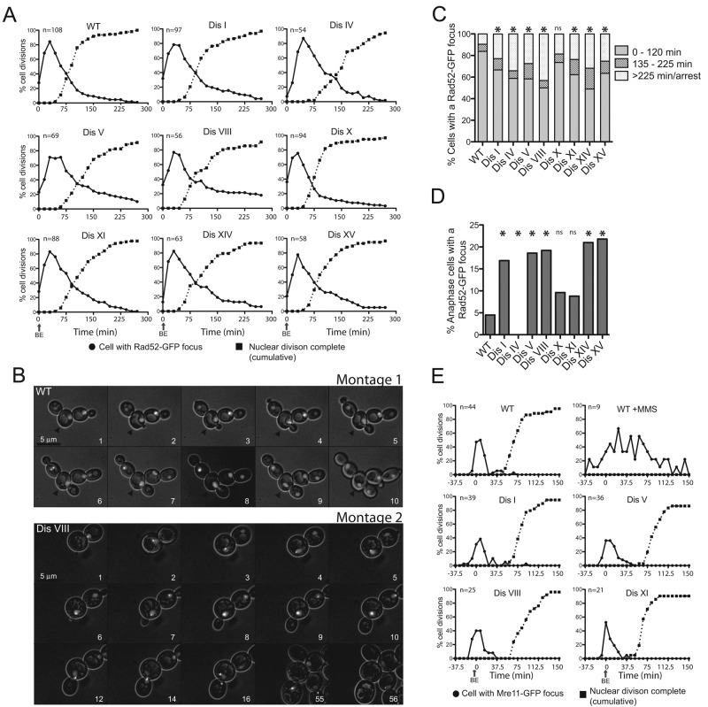 FIGURE 1: