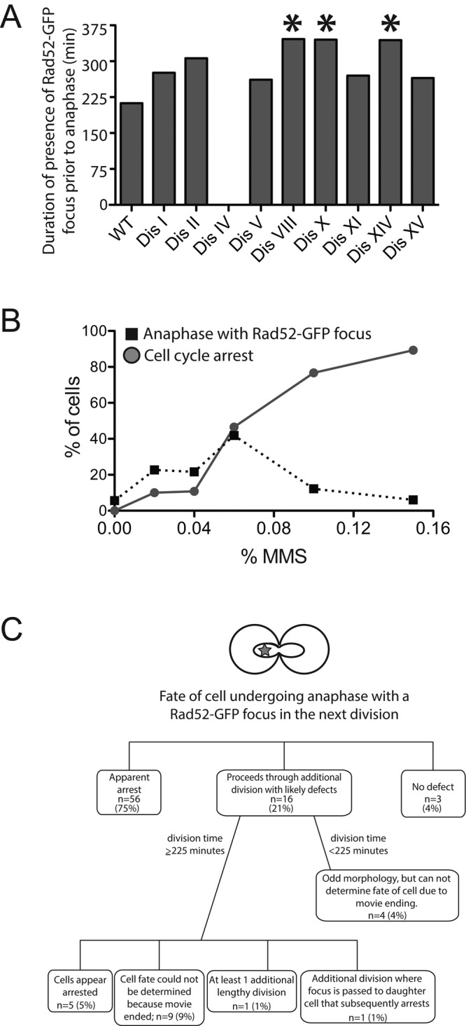 FIGURE 5: