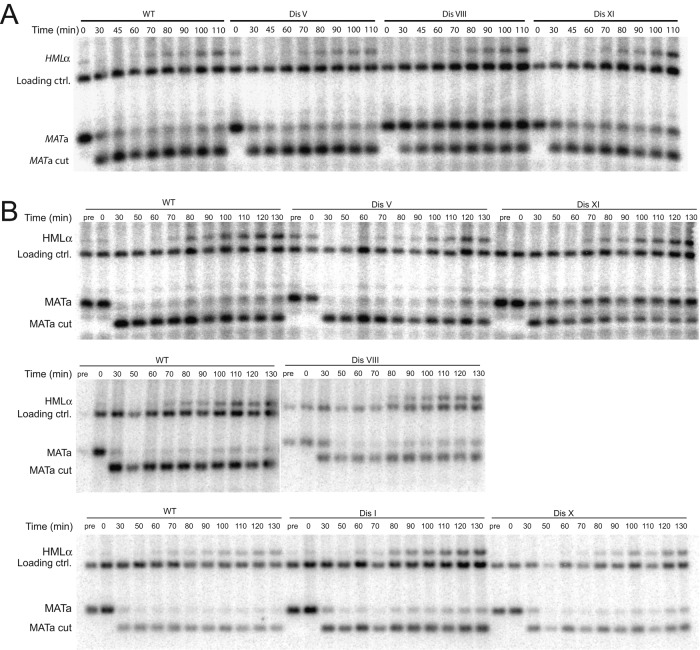 FIGURE 4: