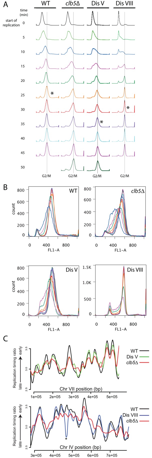 FIGURE 2: