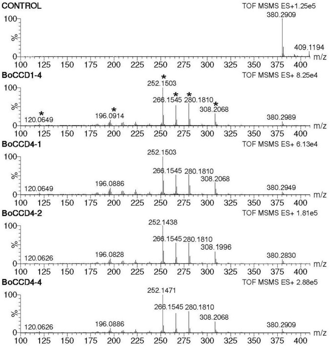 FIGURE 4