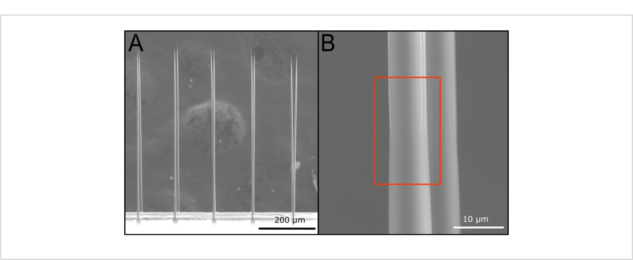 Figure 11: