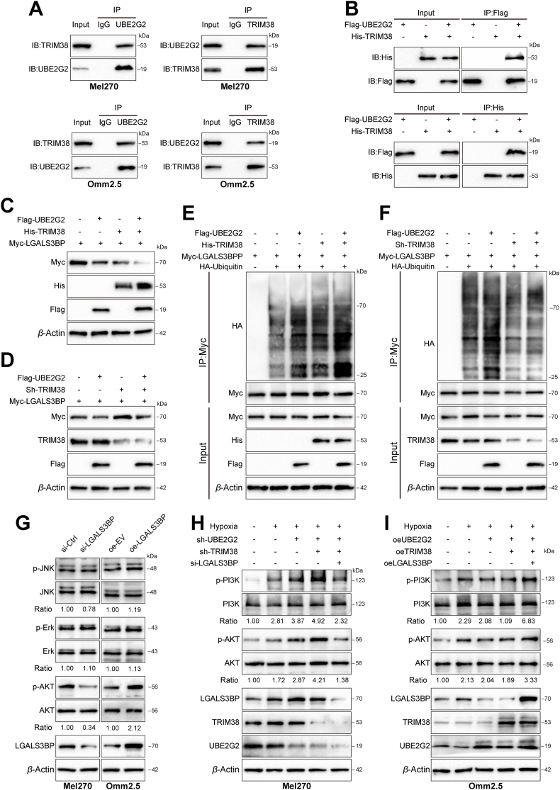 Figure 6