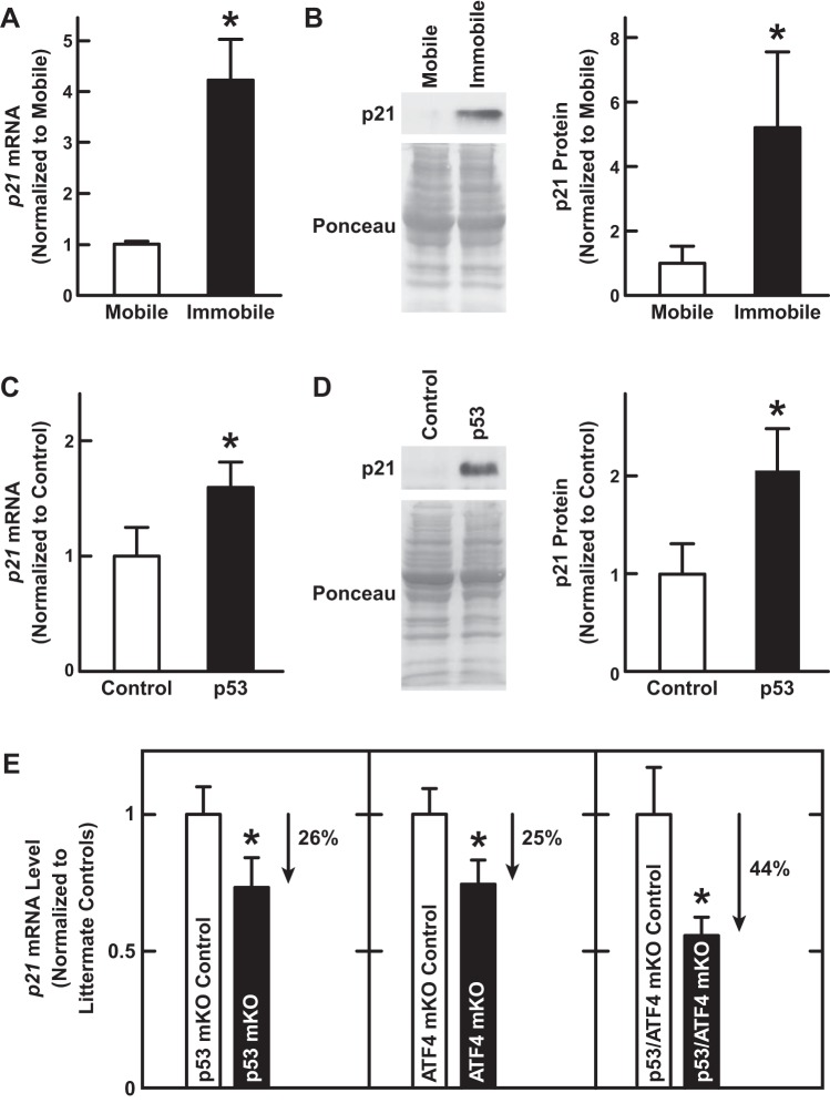 Fig. 9.