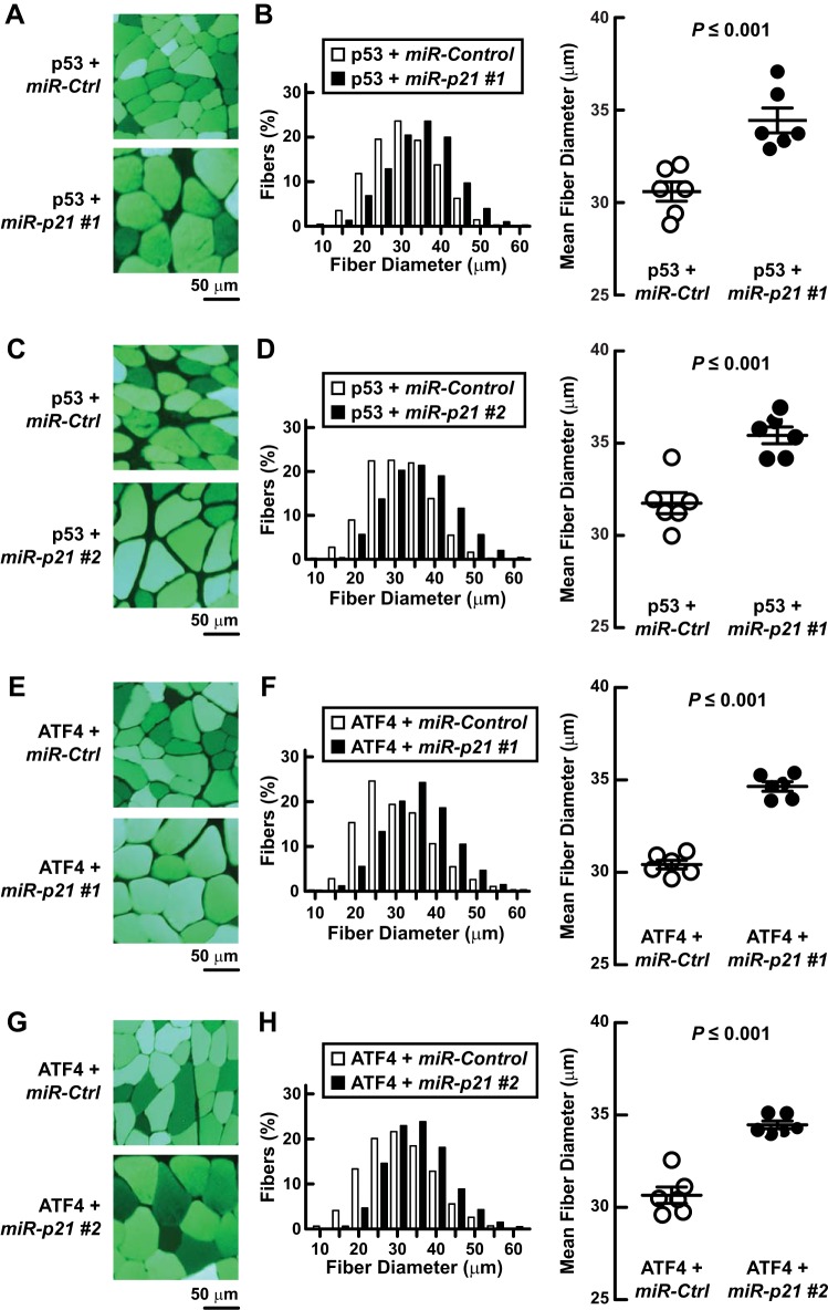 Fig. 12.