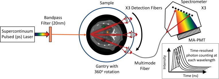 Fig. 2