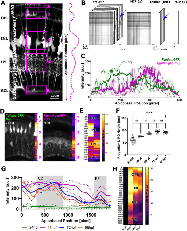 Fig. 4.