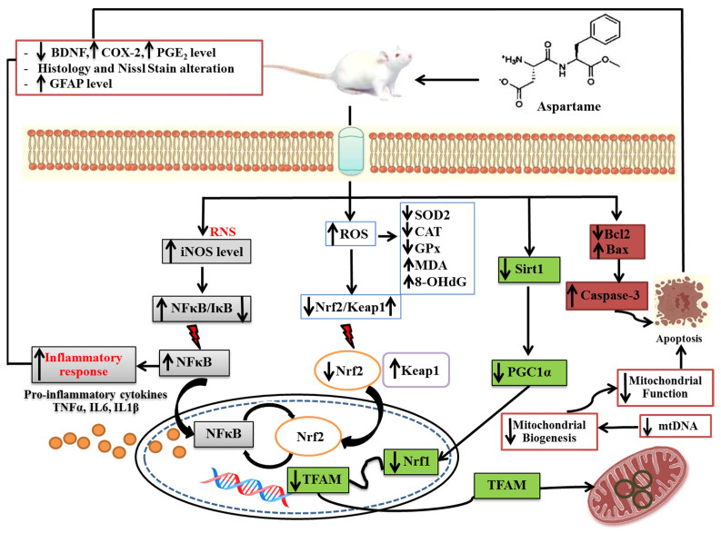 Figure 12