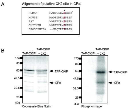 FIG. 7.