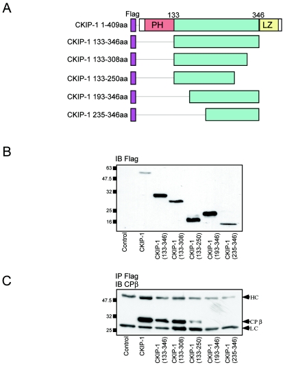 FIG. 6.