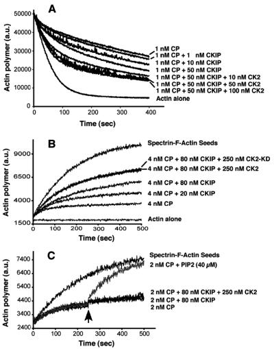 FIG. 9.