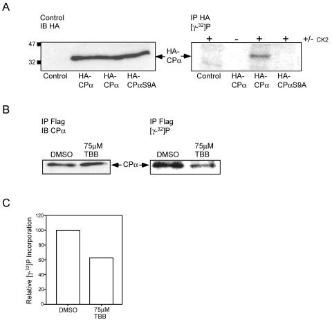 FIG. 8.