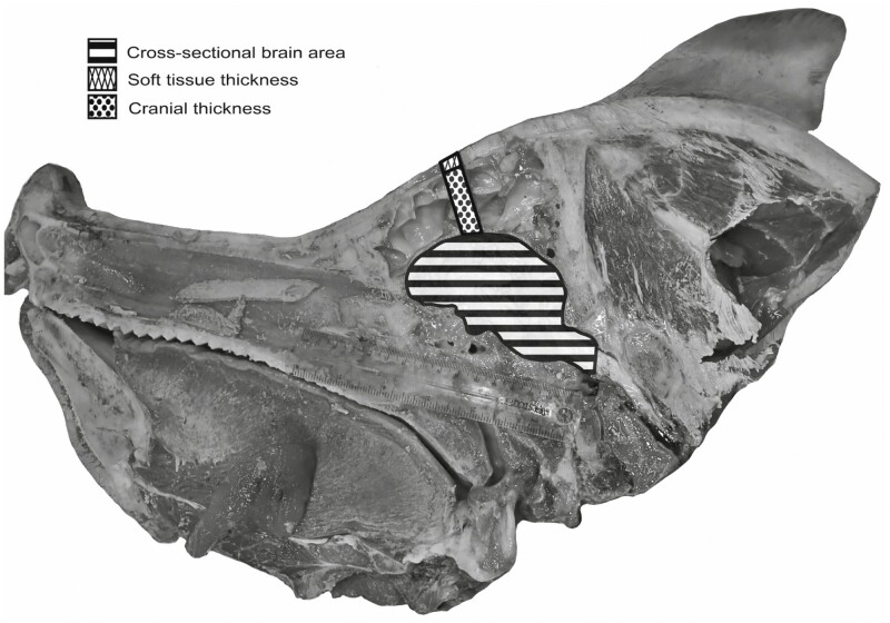 Figure 2.