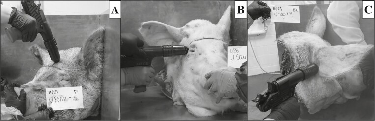 Figure 1.