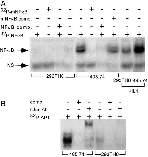 Fig. 8.