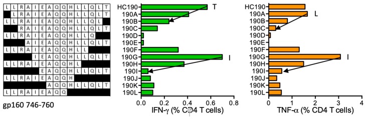 Figure 20