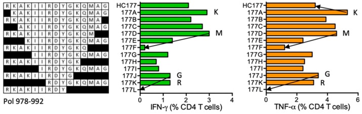 Figure 18