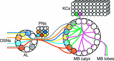 Fig. 4.