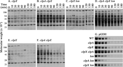 FIGURE 9.