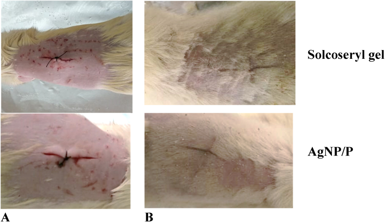 Fig. 4