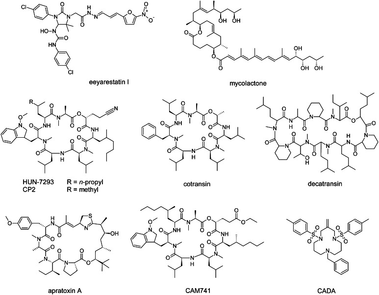 Fig. 2