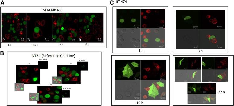 FIGURE 3