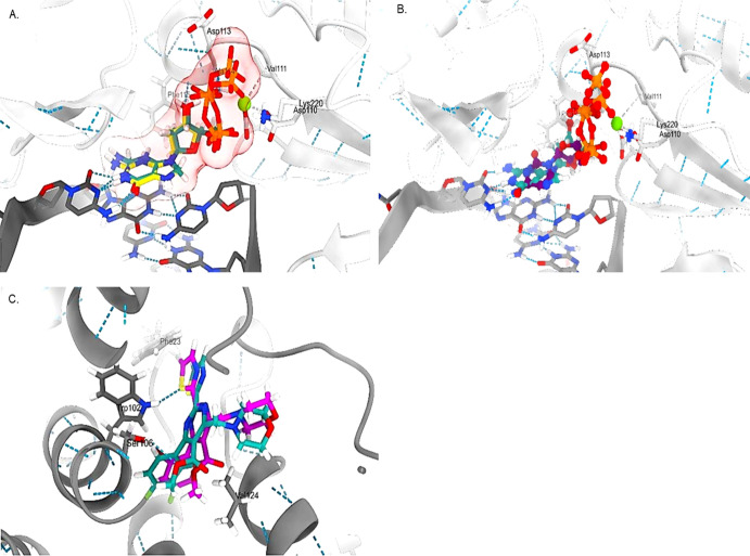 Figure 5