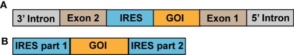 Figure 3