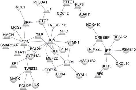 Fig. 4