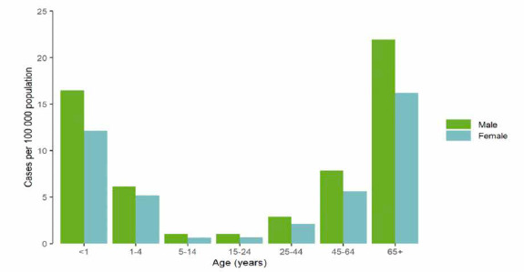 Fig. 1.