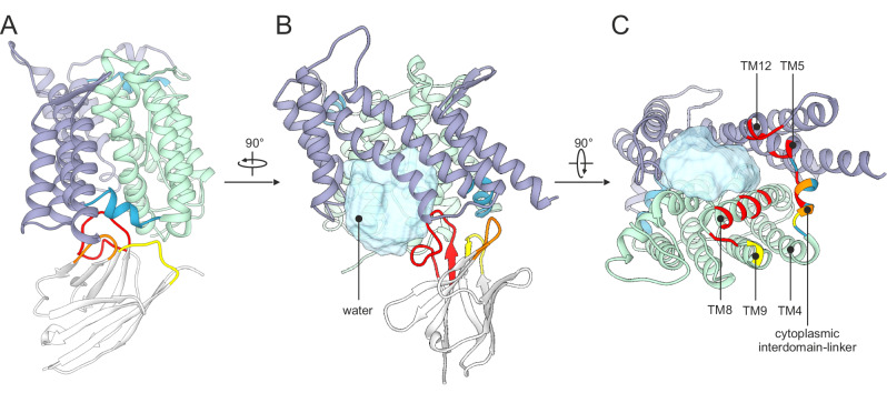 Fig. 2