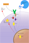 Figure 10