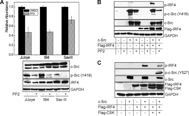 Fig 5