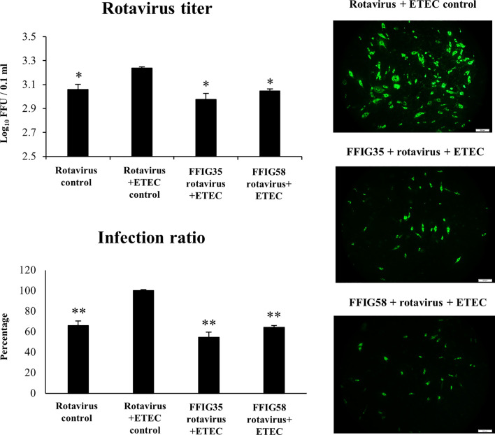 Figure 7