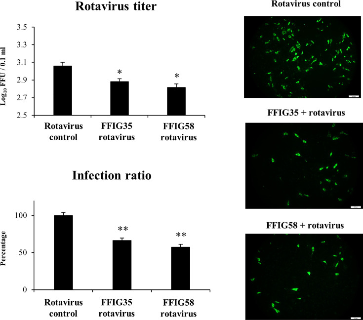 Figure 5