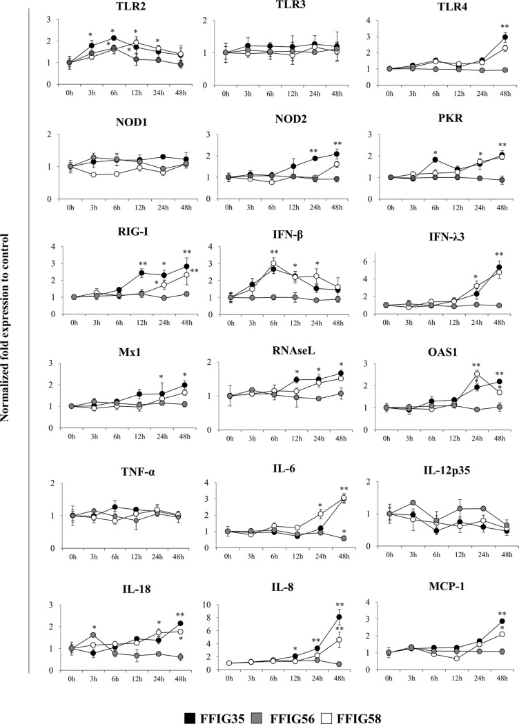 Figure 2