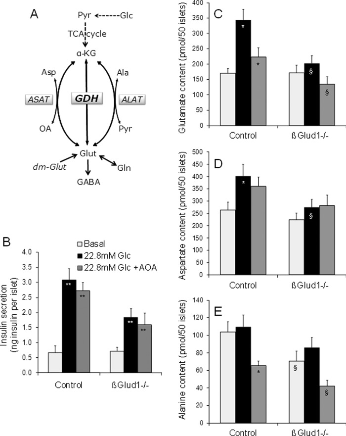 FIGURE 5: