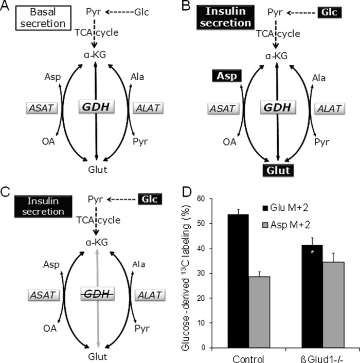 FIGURE 6: