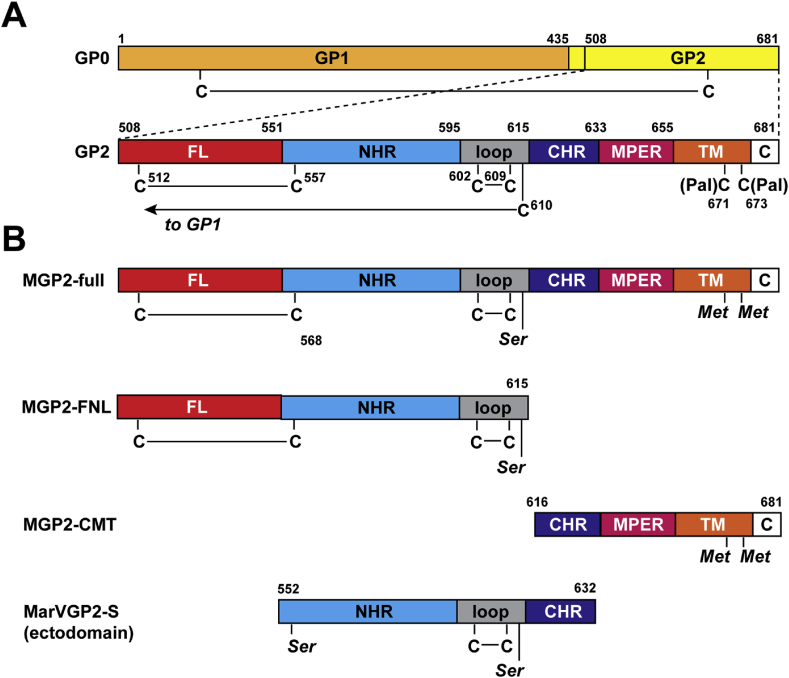 Figure 2