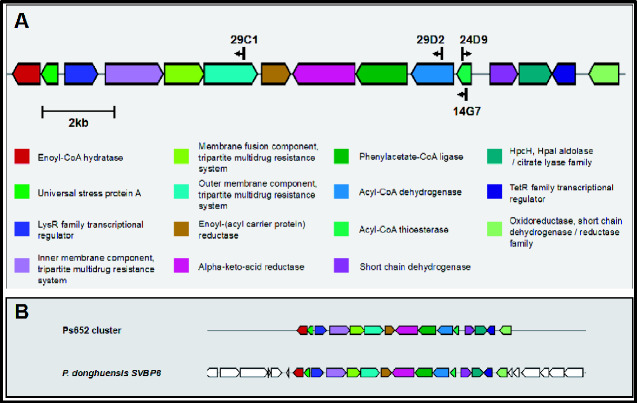 Figure 4.