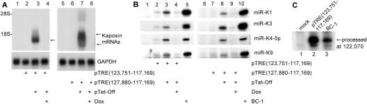 FIG. 7.