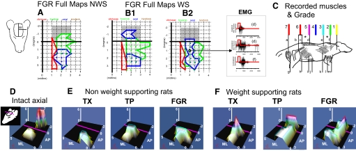 FIG. 2.