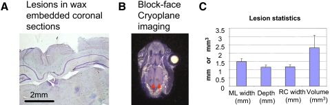 FIG. 4.