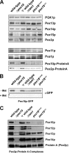 FIGURE 4.