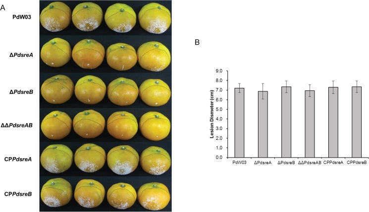 Fig 4