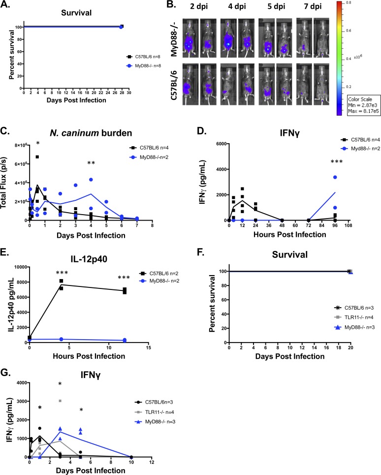 FIG 6