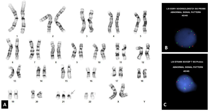 Fig 2