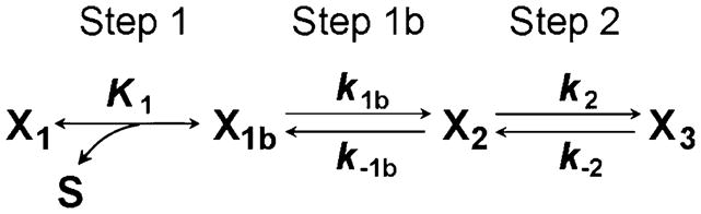 Scheme 9