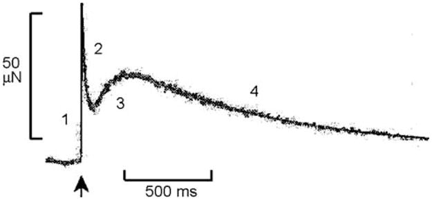 Fig. 2