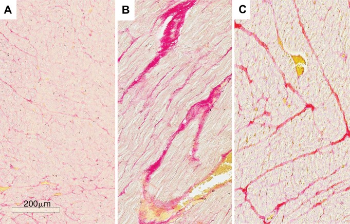 Figure 2: